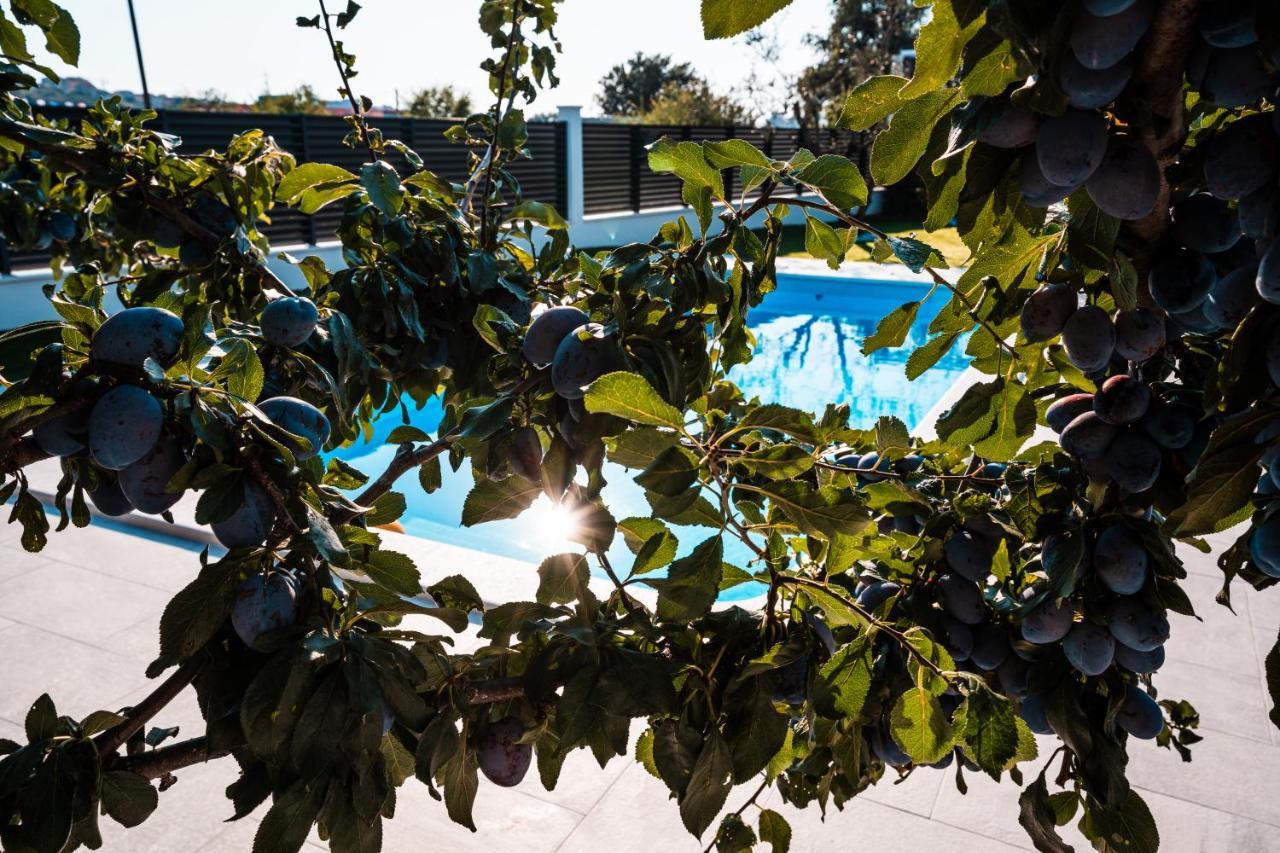 Villa Margita Split Exterior photo